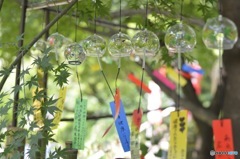 如意輪寺〜風鈴まつり〜④