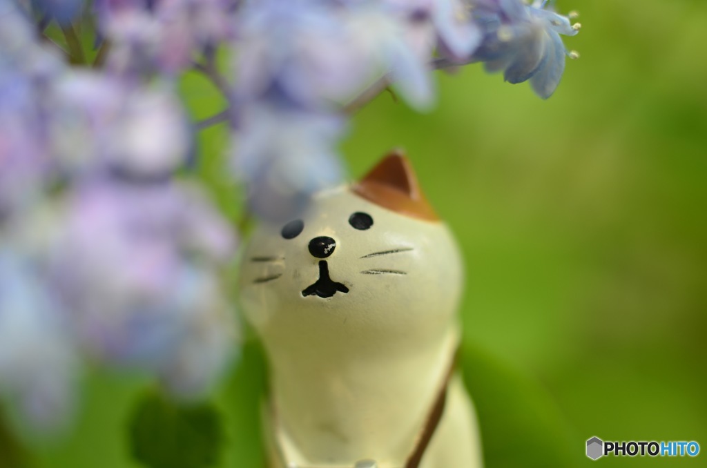 あまやどり((≡ﾟ♀ﾟ≡)