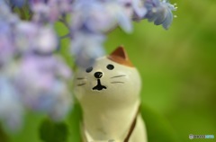 あまやどり((≡ﾟ♀ﾟ≡)