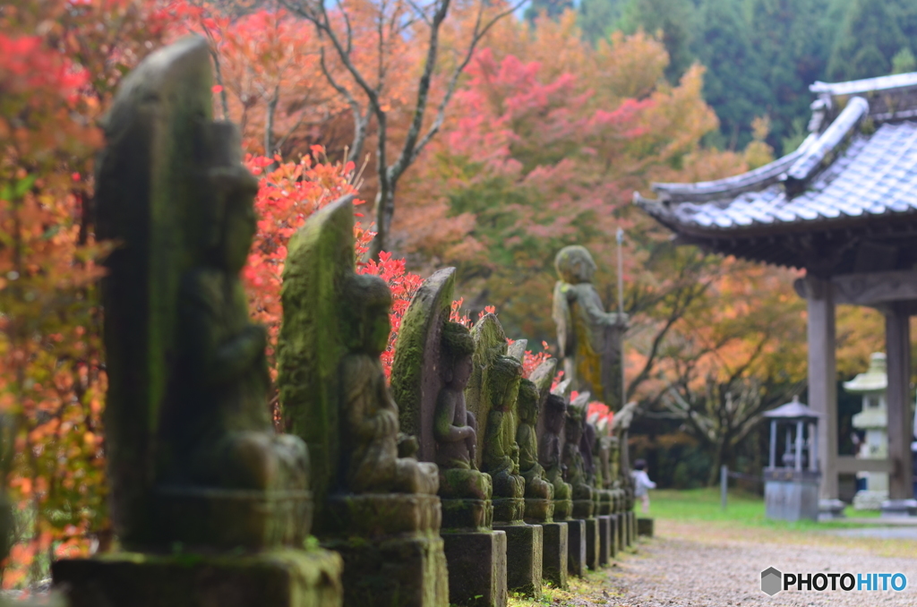 千如寺の紅葉⑦