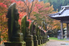 千如寺の紅葉⑦