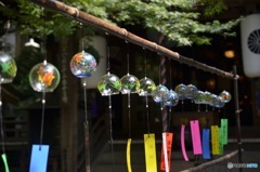 如意輪寺〜風鈴まつり〜⑧