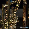 博多千年煌夜１２