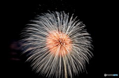 花火②