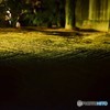 博多千年煌夜７
