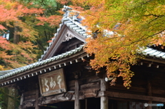 千如寺の紅葉②