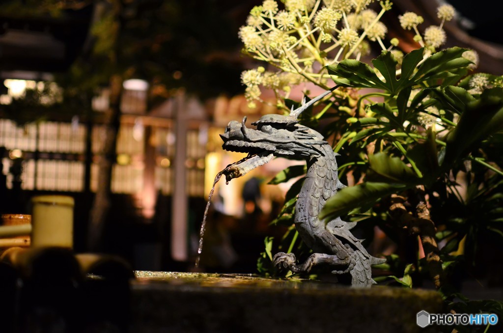 博多千年煌夜８