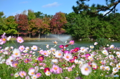 海の中道海浜公園1