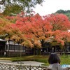 千如寺の紅葉①