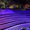 博多千年煌夜４