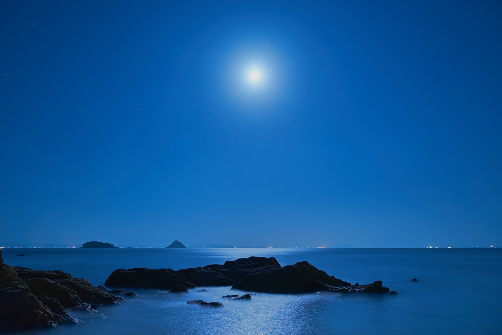 月夜に照らされて