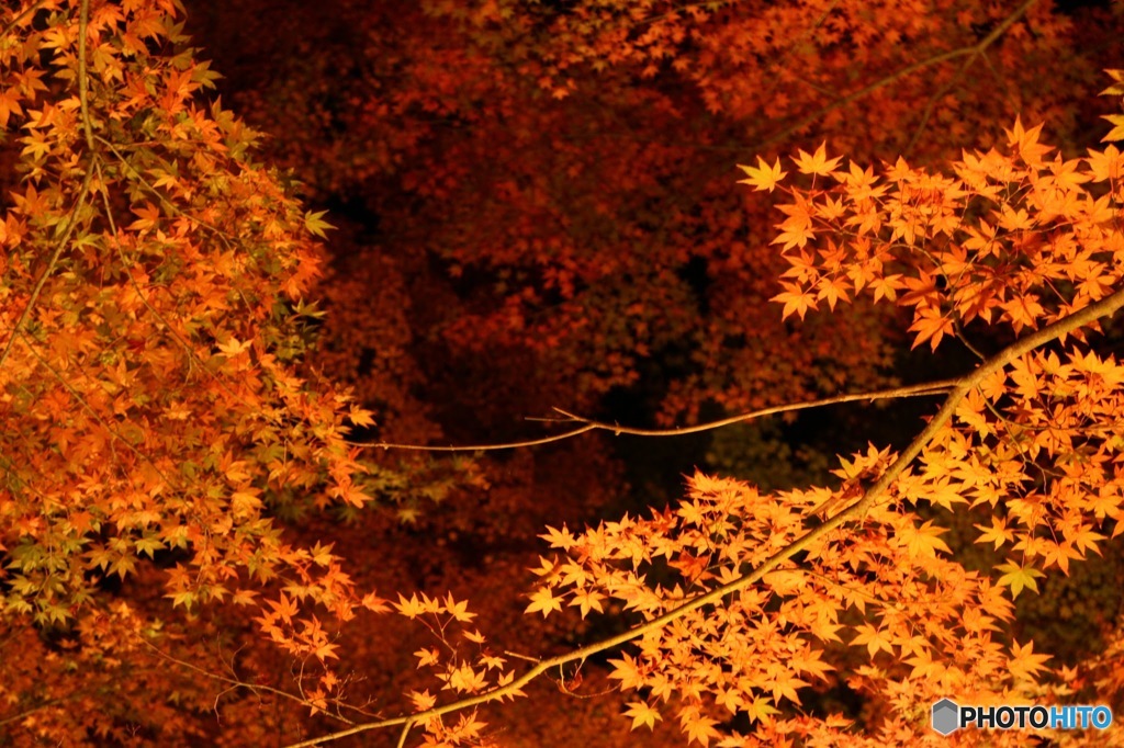山中湖もみじ祭り