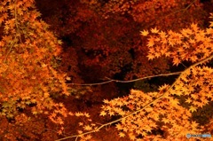 山中湖もみじ祭り