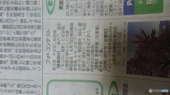 山梨日日新聞