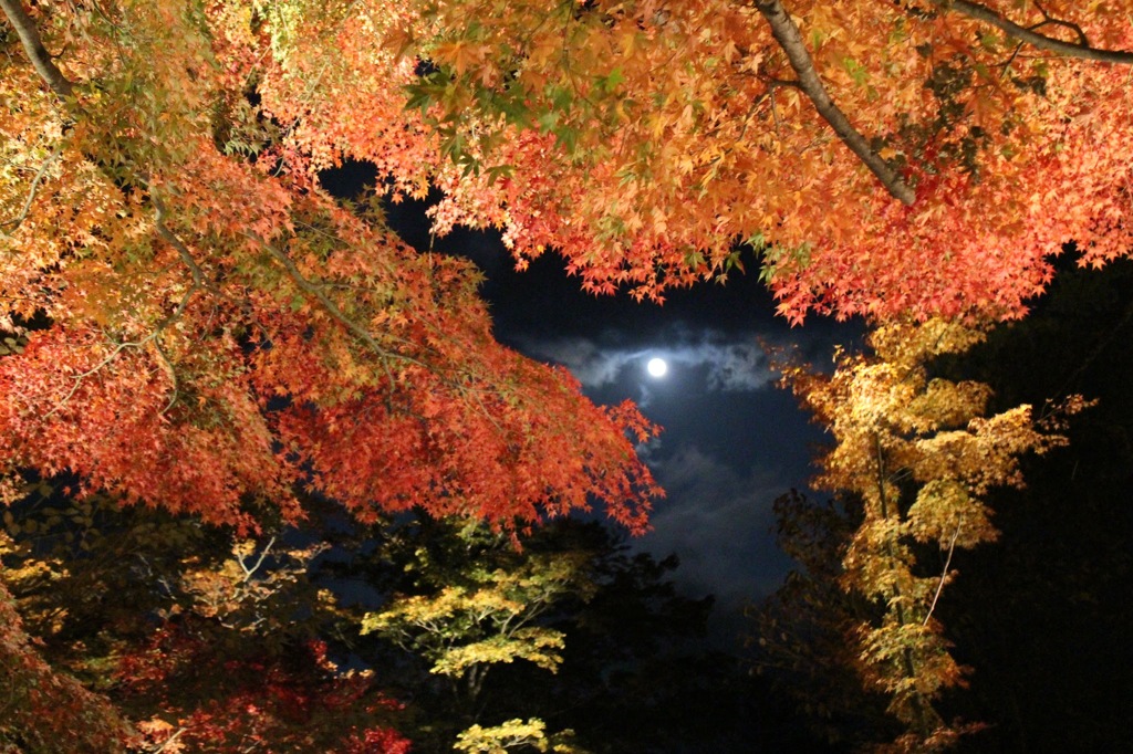 山中湖もみじ祭り