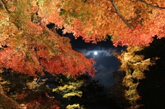 山中湖もみじ祭り