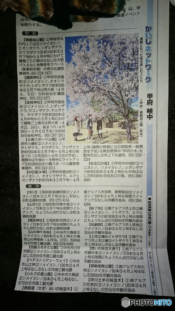 山梨桜情報