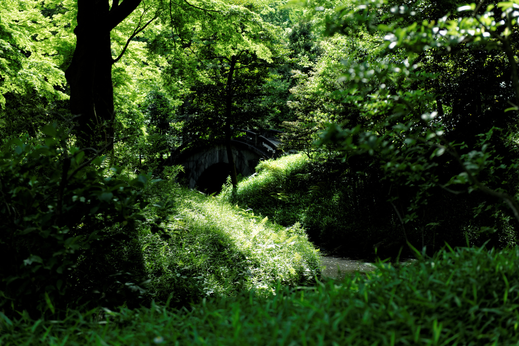 小石川後楽園3