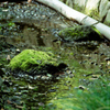 小石川後楽園3