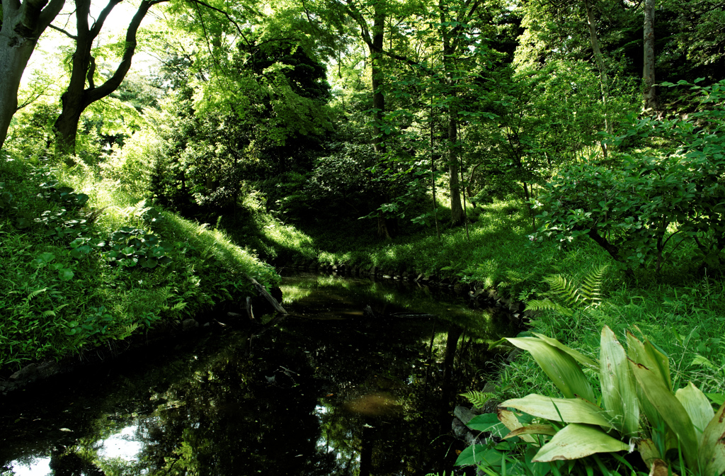 小石川後楽園2