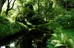 小石川後楽園2