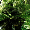 小石川後楽園2