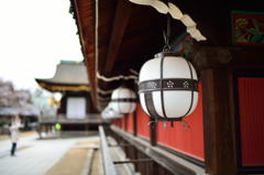 このボケが好きです