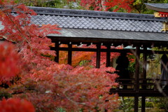 大覚寺その１