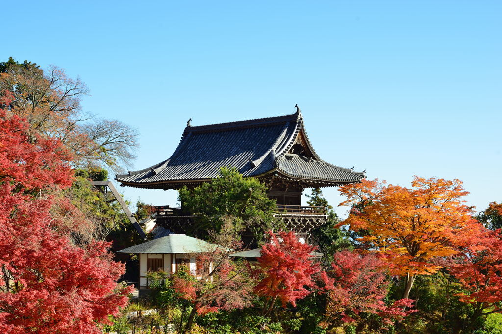 善峯寺その４