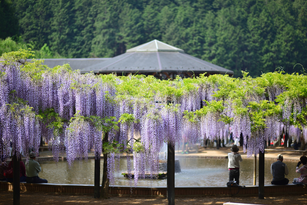 憩いの場