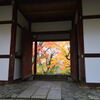 常寂光寺その２