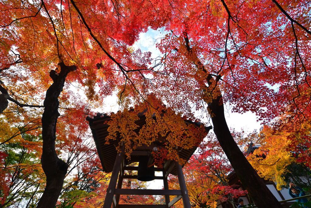 常寂光寺その１