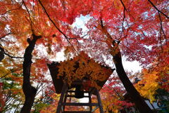 常寂光寺その１