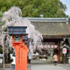 平野神社