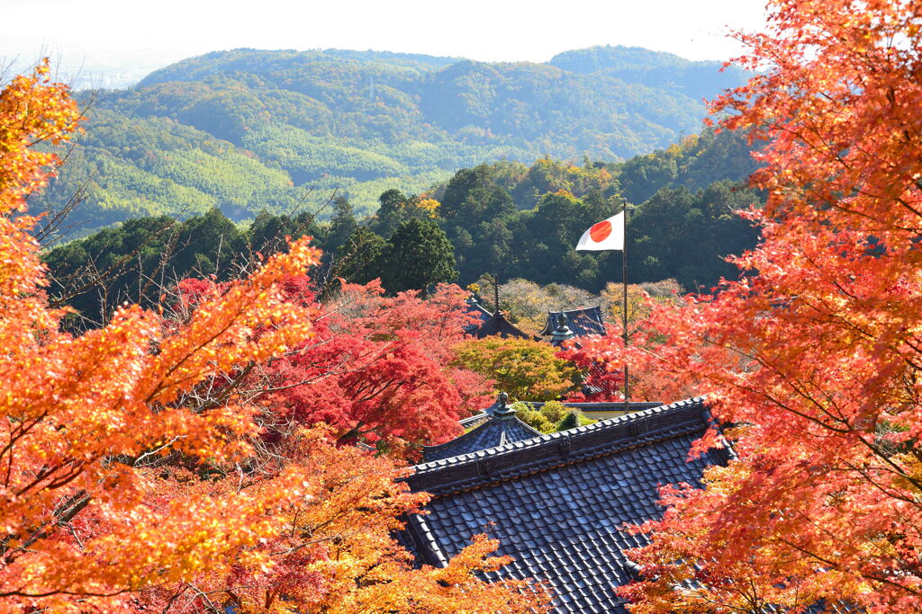 善峯寺その３