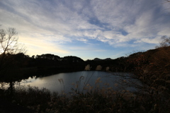 朝の柤大池