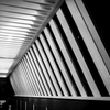 Repetition