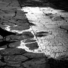 雨上がりの一時
