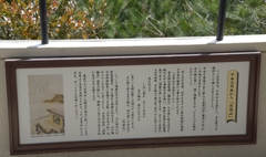 須磨の離宮公園にて