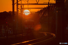 2017.3.11夕陽に向かって