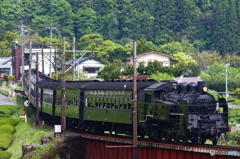 新緑の大井川鐵道⑥