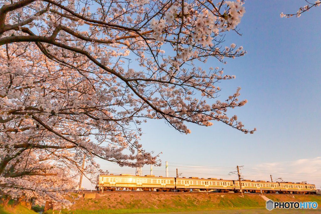 2020.4.7 夕陽と普通列車②