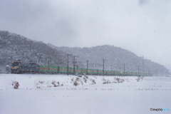 2018.1.30 EF66 30 雪の中を行く56レ福山レールエクスプレス 