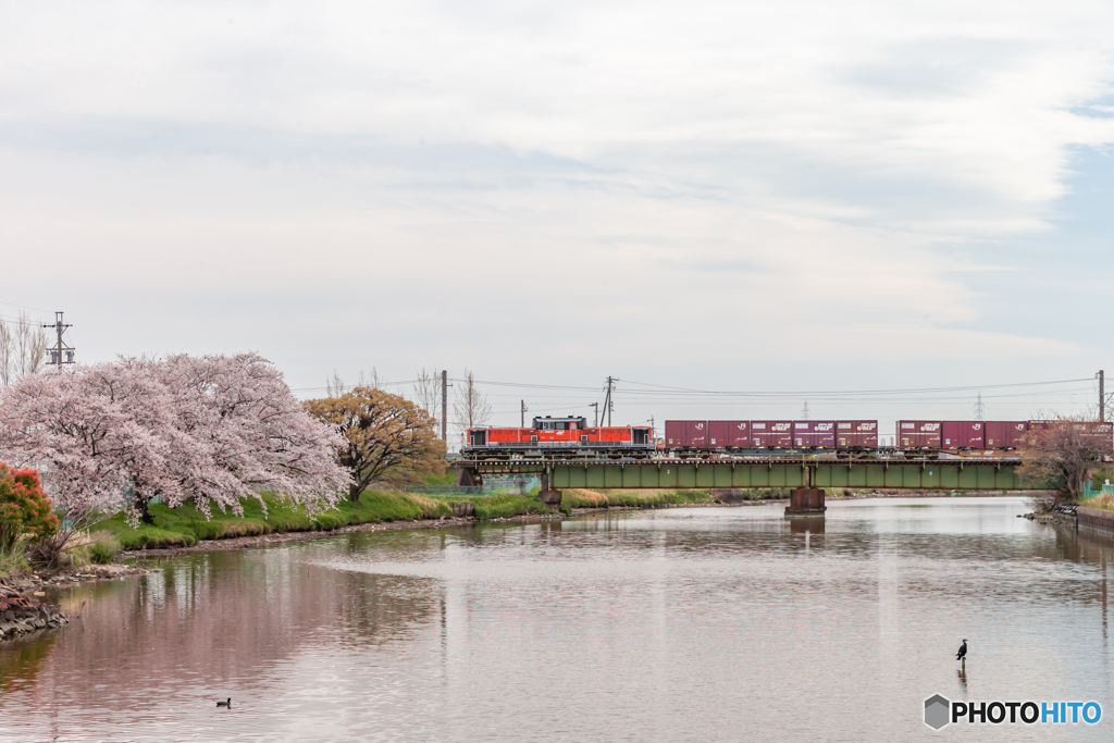 2020.4.7 2080レ  DD51 1028