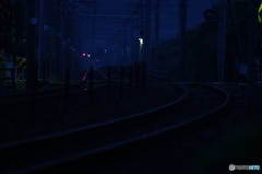 夜の帳