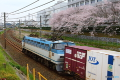 線路脇から、桜を添えて③