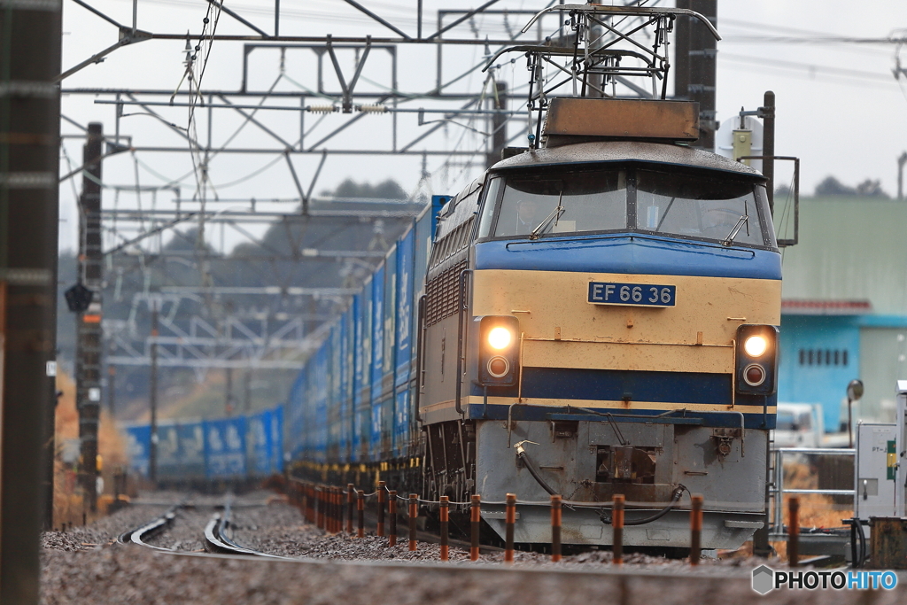 2017.2.9 EF66 36　2052レ　トヨタロングパスエクスプレス