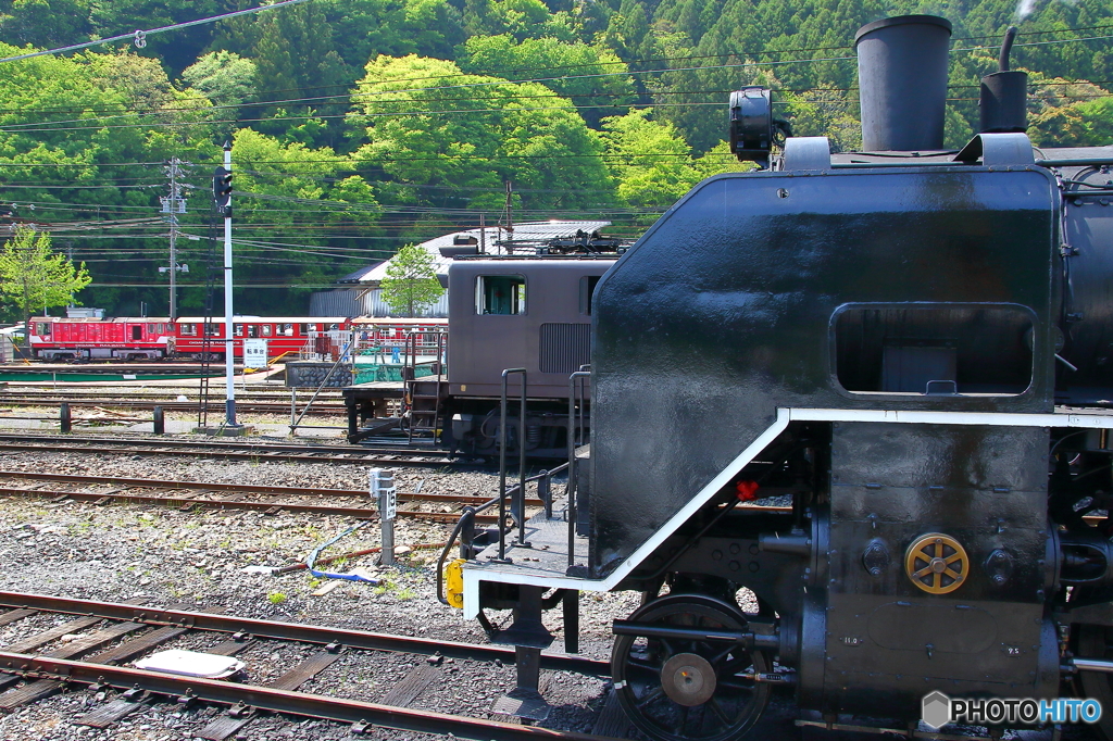 新緑の大井川鐵道⑭