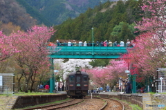 2016花のわたらせ渓谷鐵道⑭