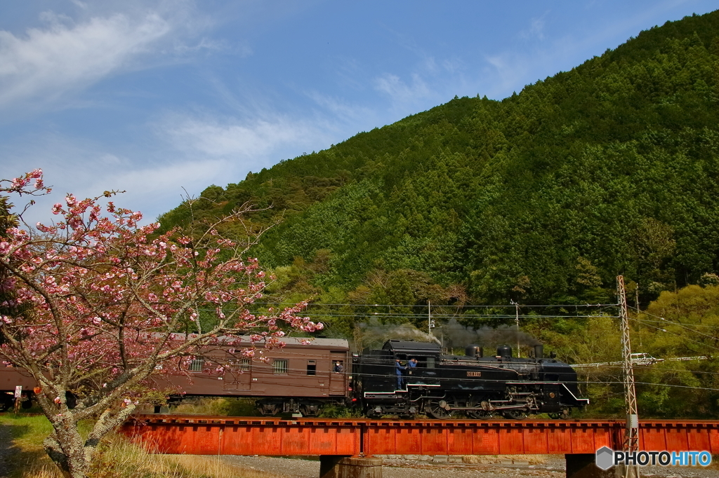 大井川鐵道②